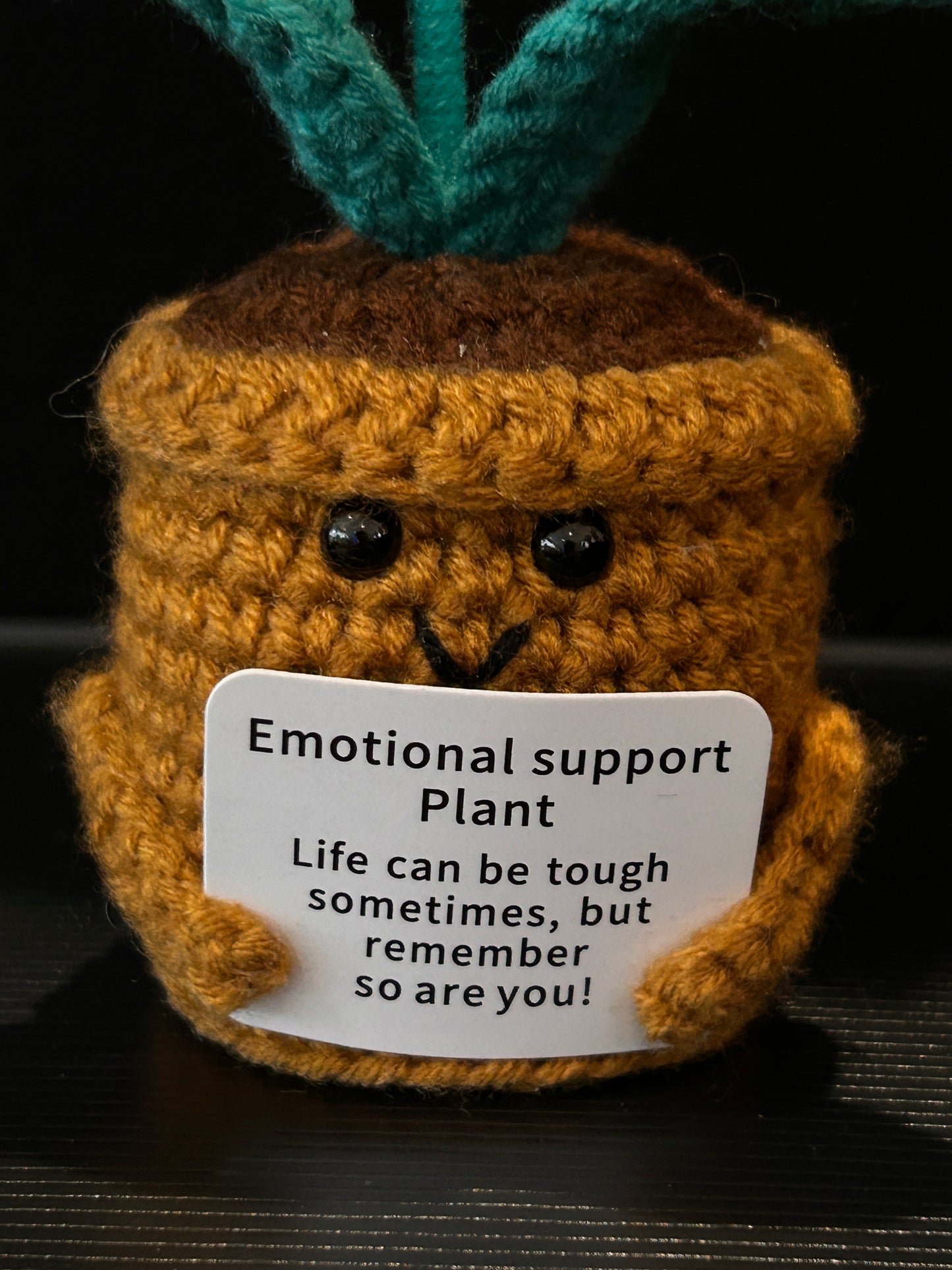 Emotional Support Plant (Daisy)