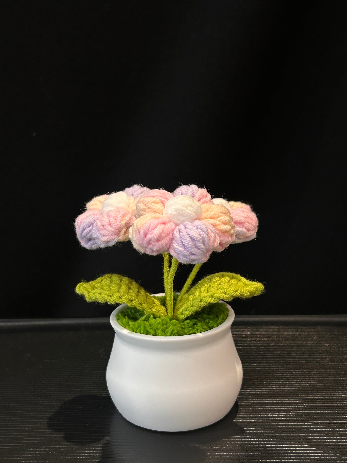 Puff Flower in White Pot