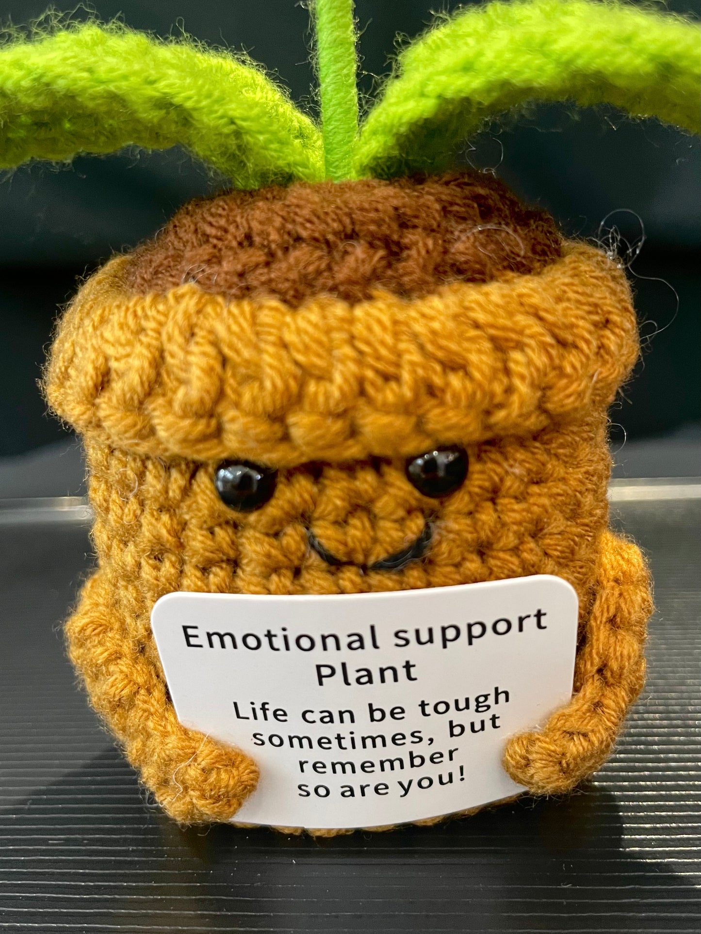 Emotional Support Plant (Sunflower)