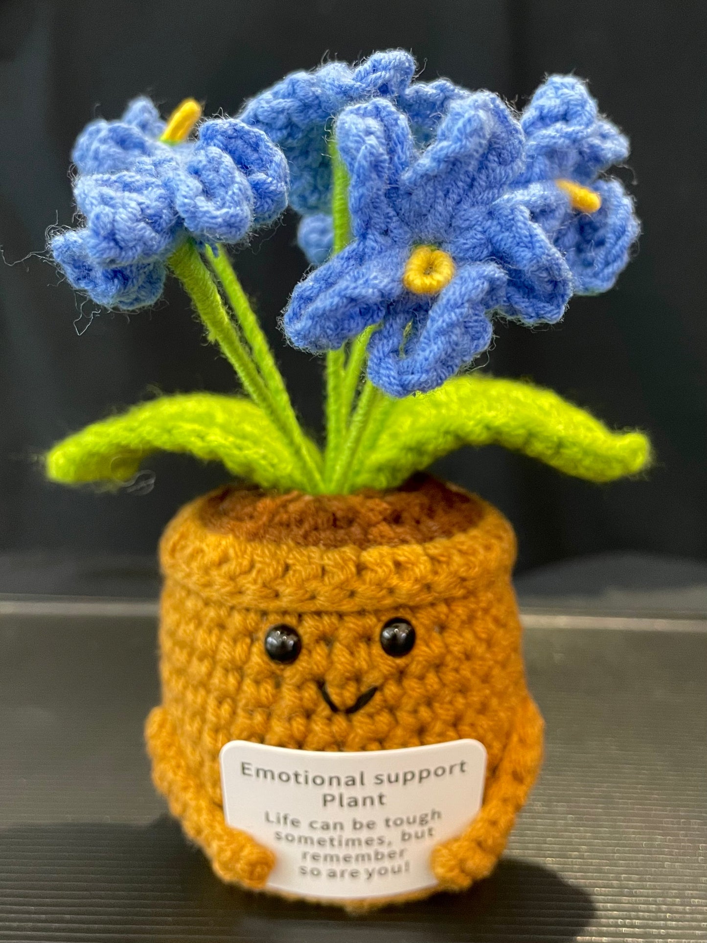 Emotional Support Plant (Foget-me-not)