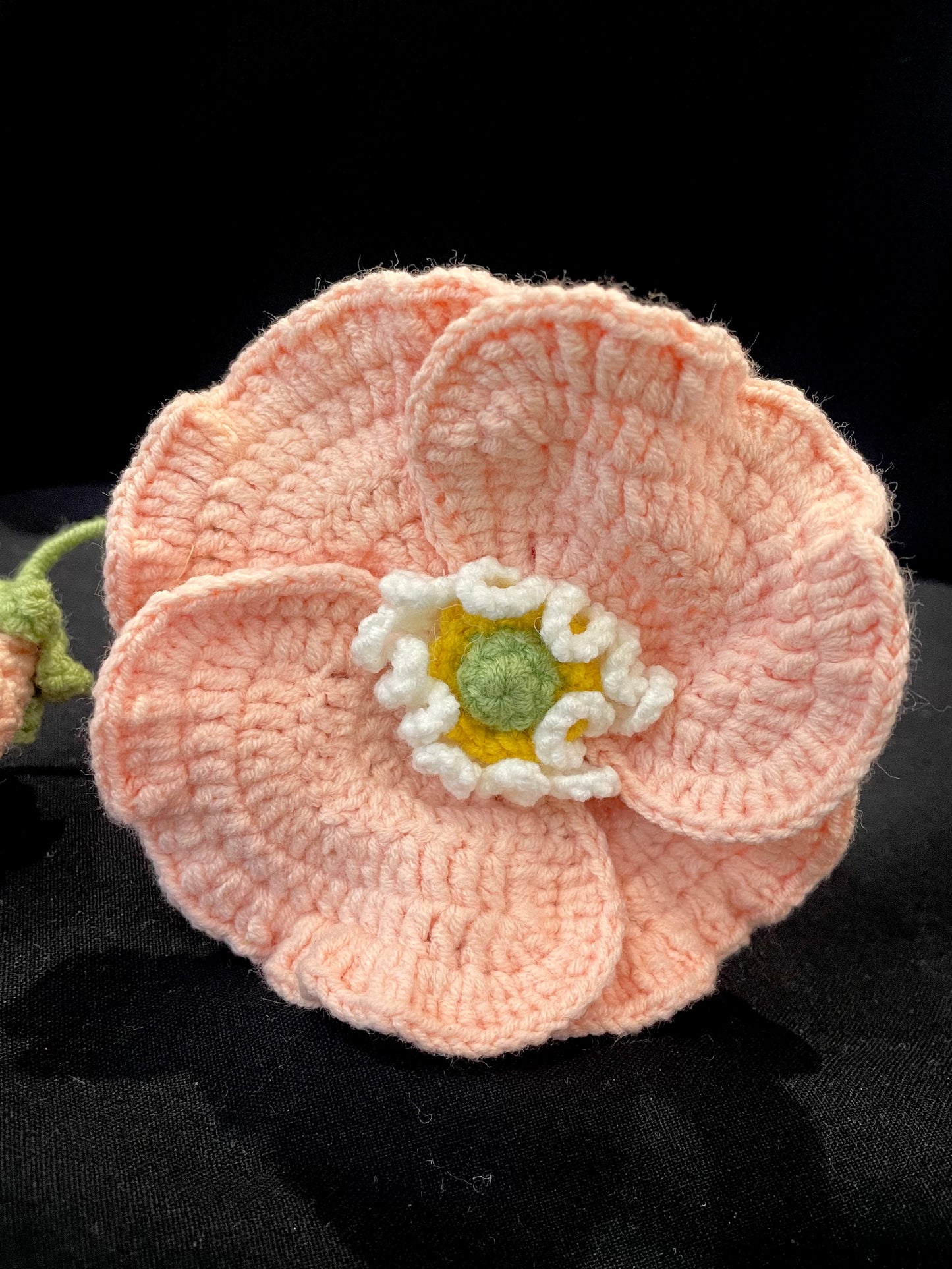 Poppy