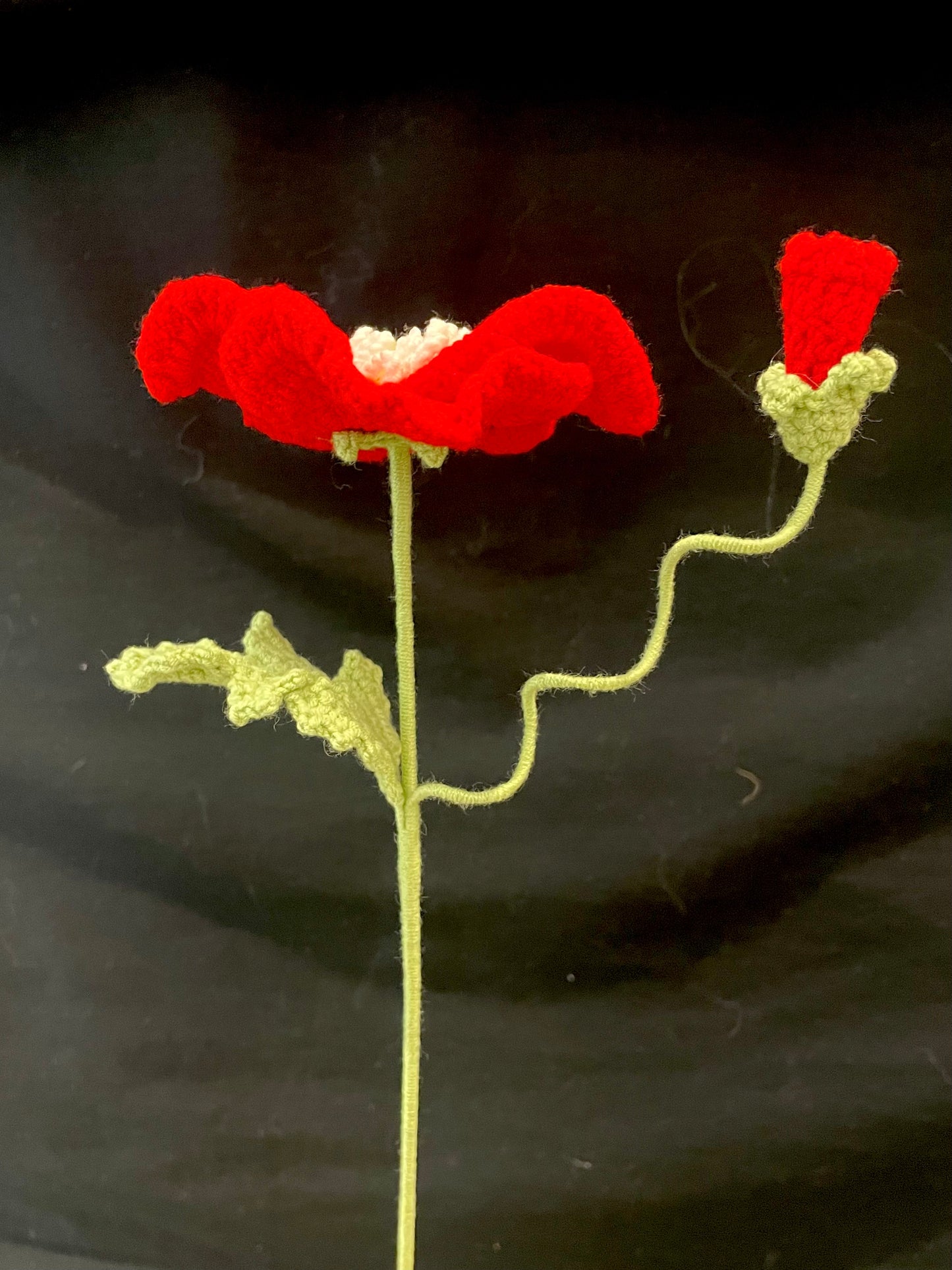 Poppy