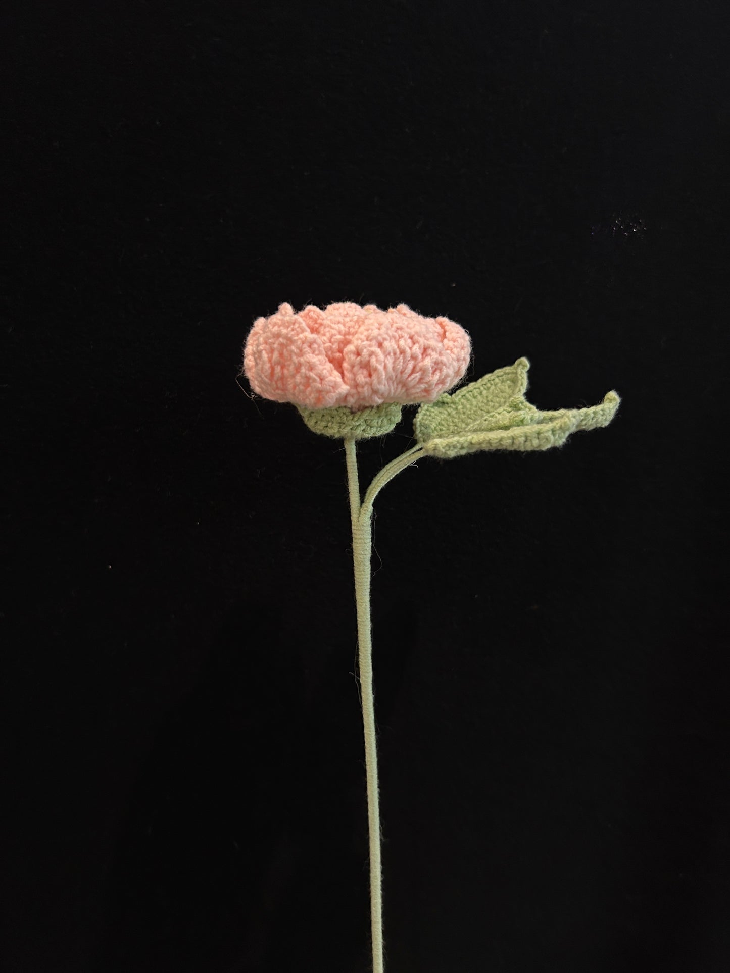 Peony