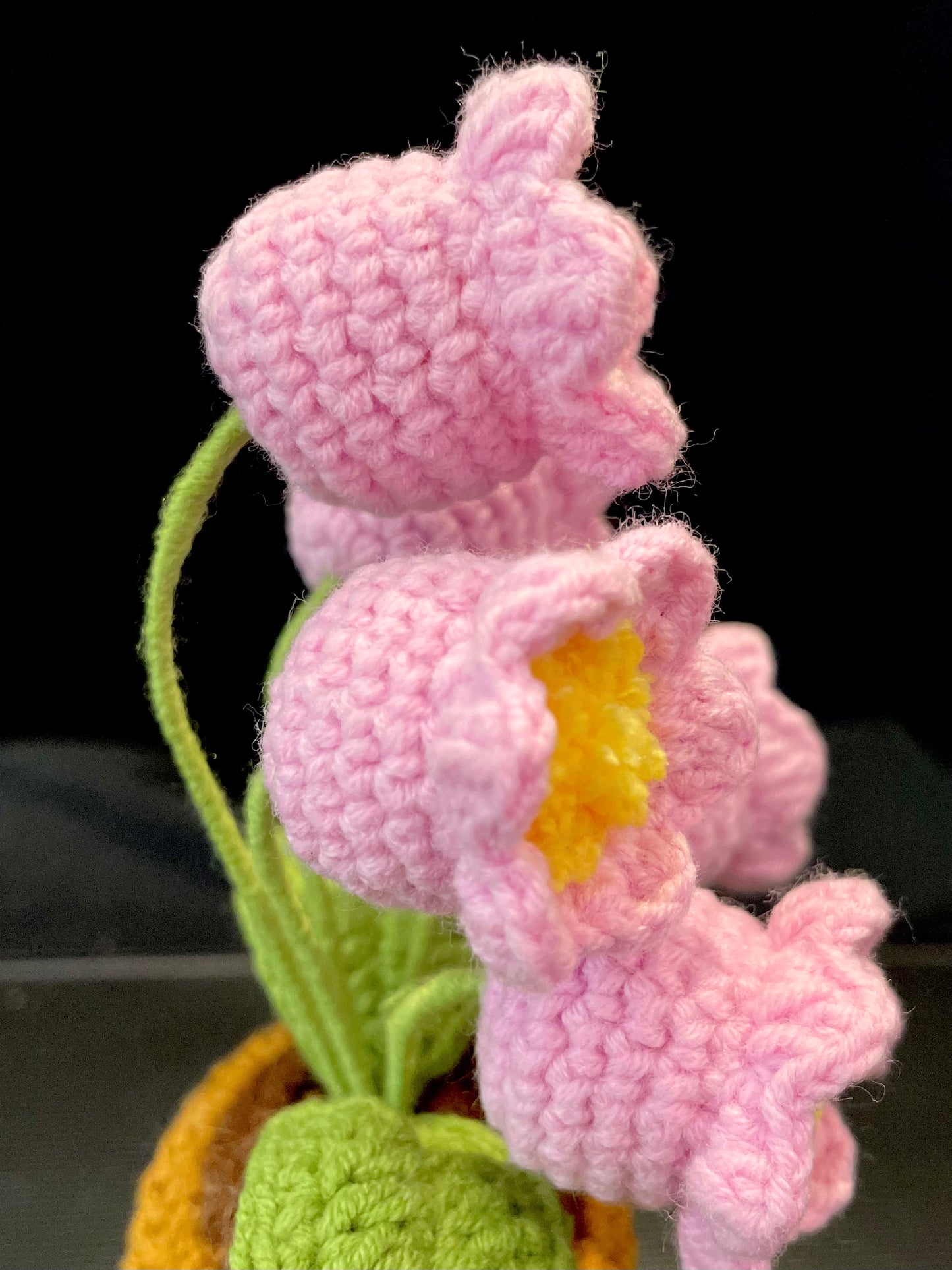 Emotional Support Plant (Lily of the Valley)