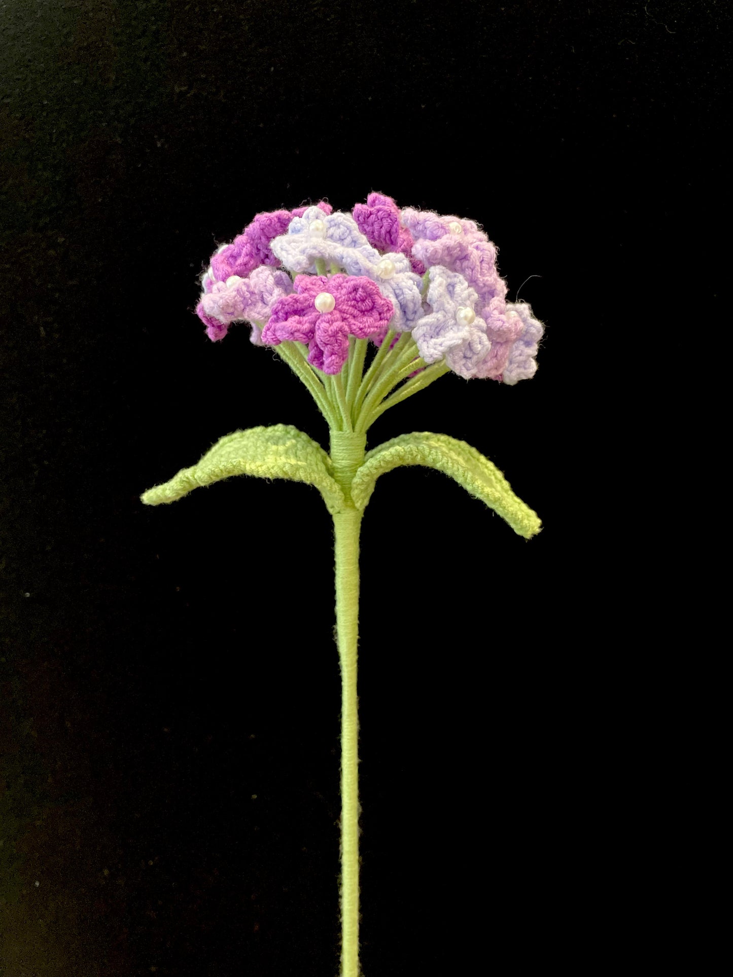 Forget-me-not (Large)