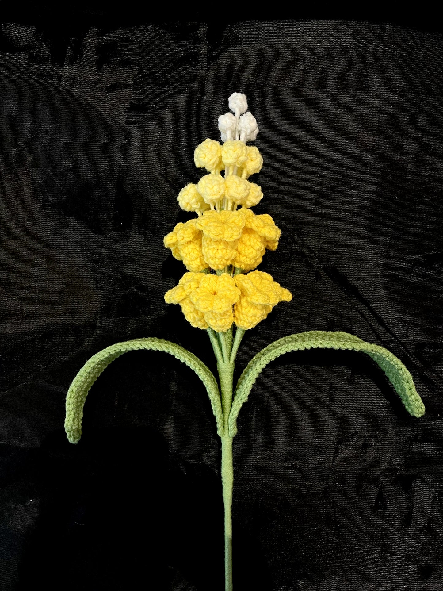 Hyacinth