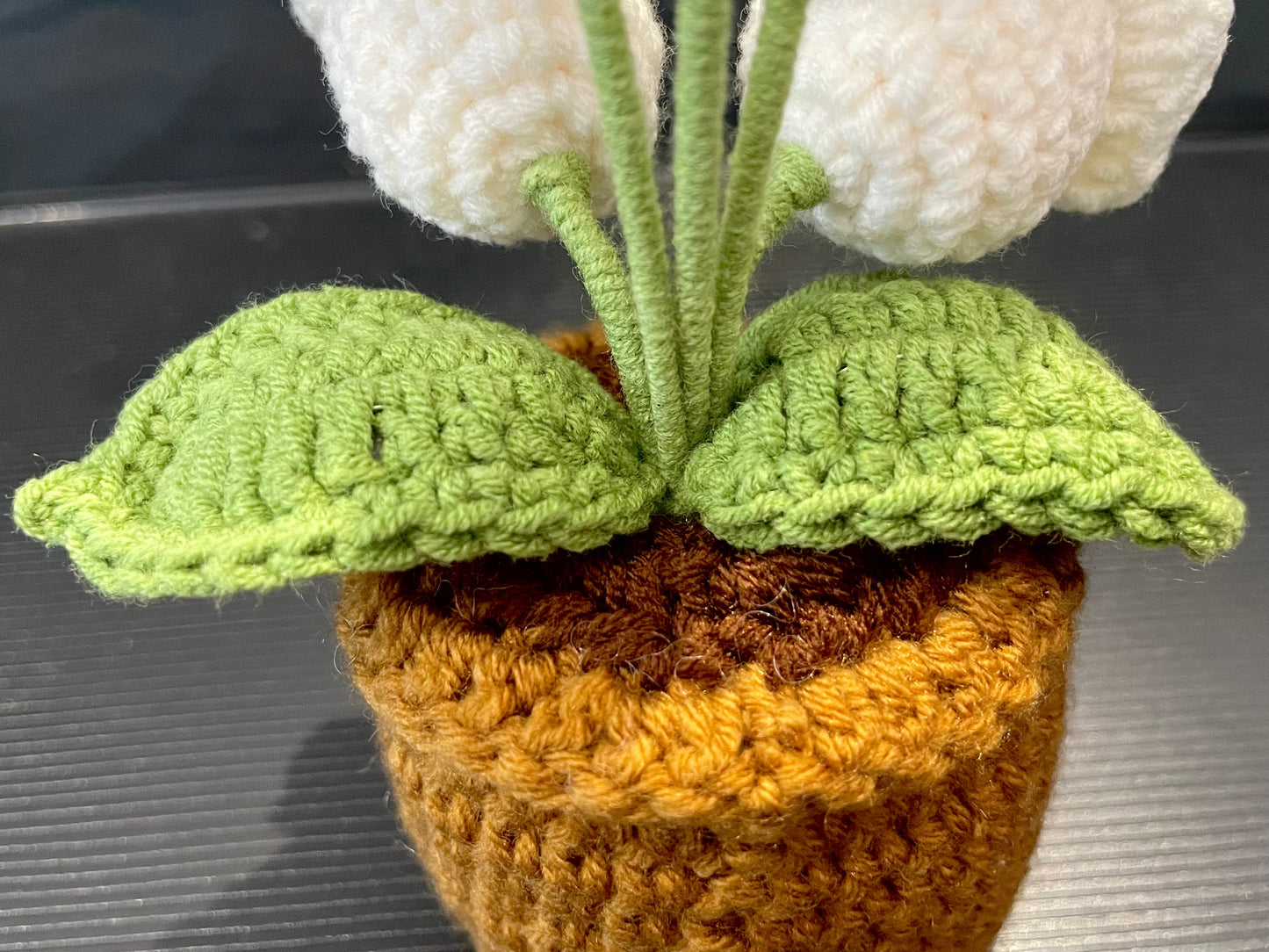 Emotional Support Plant (Lily of the Valley)