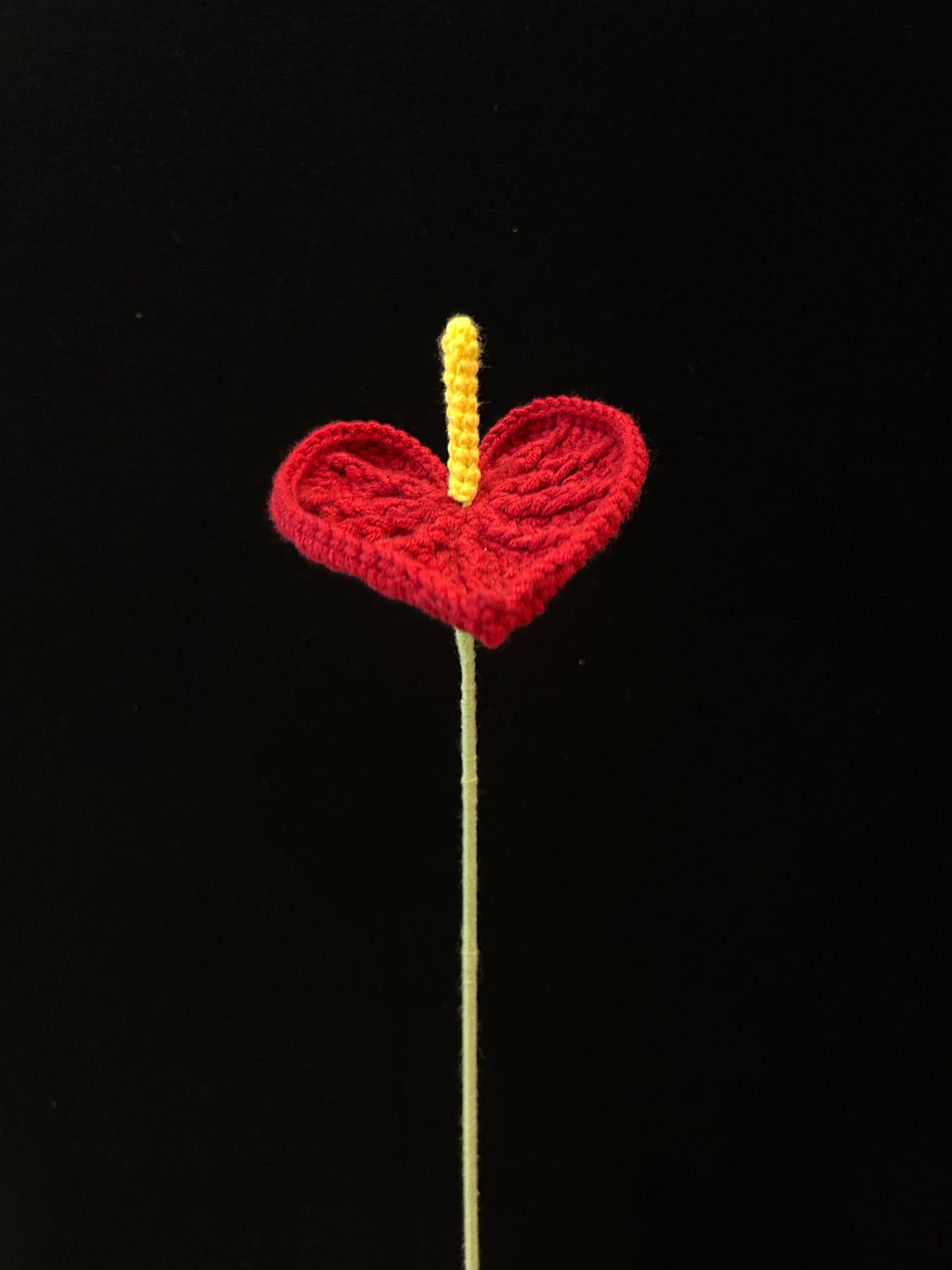 Anthurium