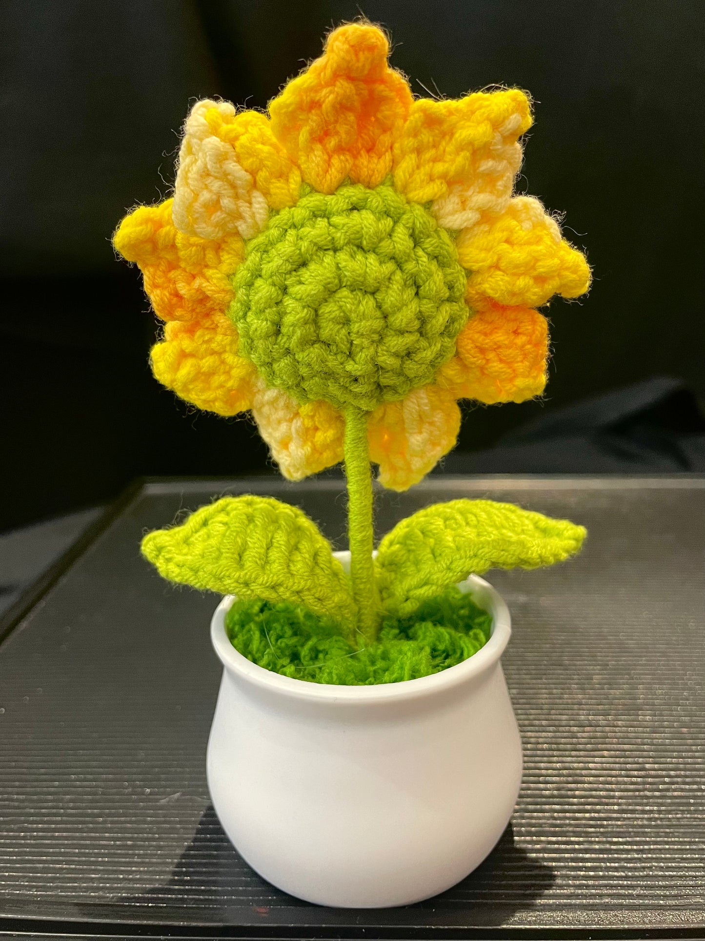 Sunflower in White Pot