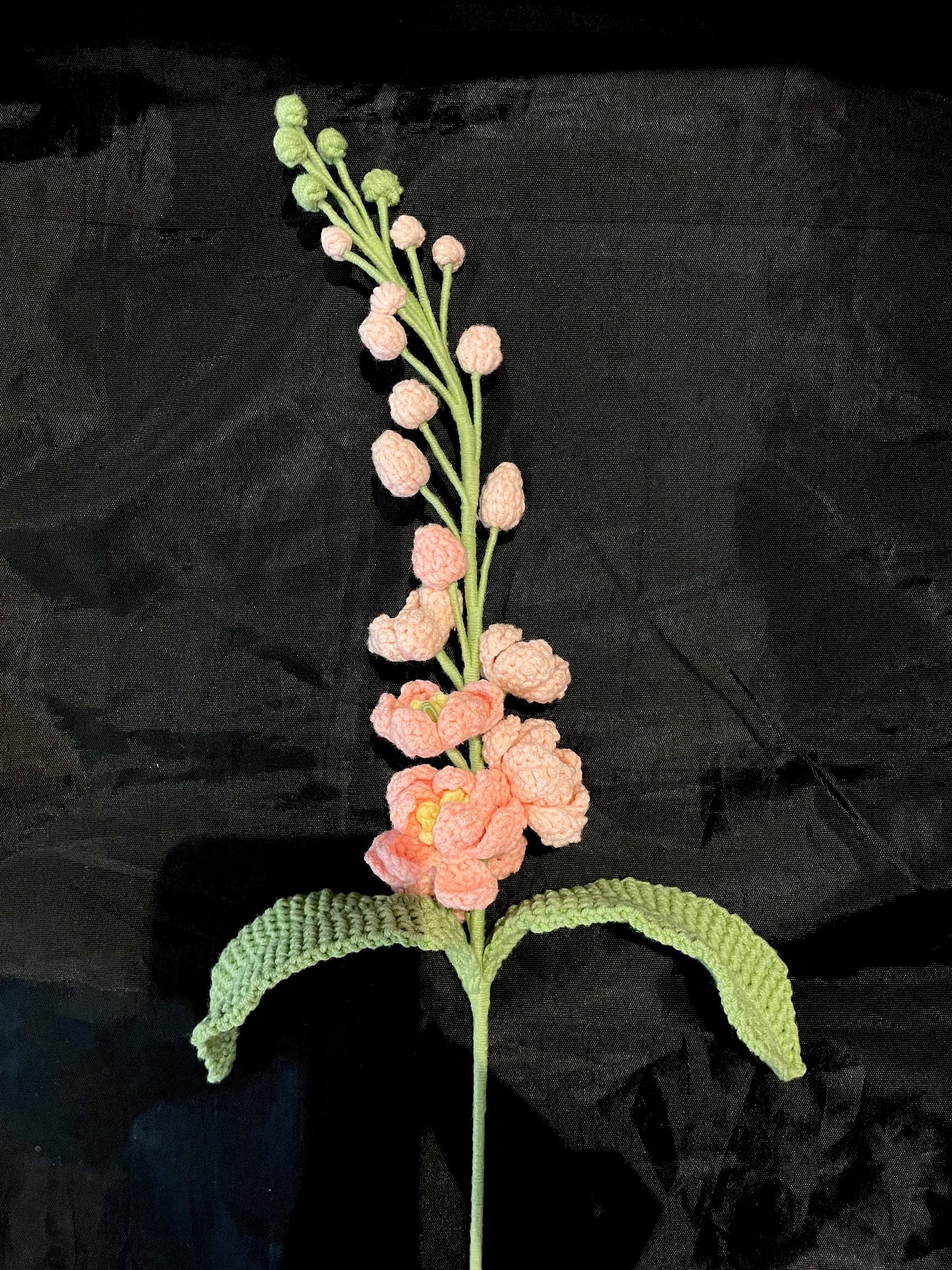 Delphinium