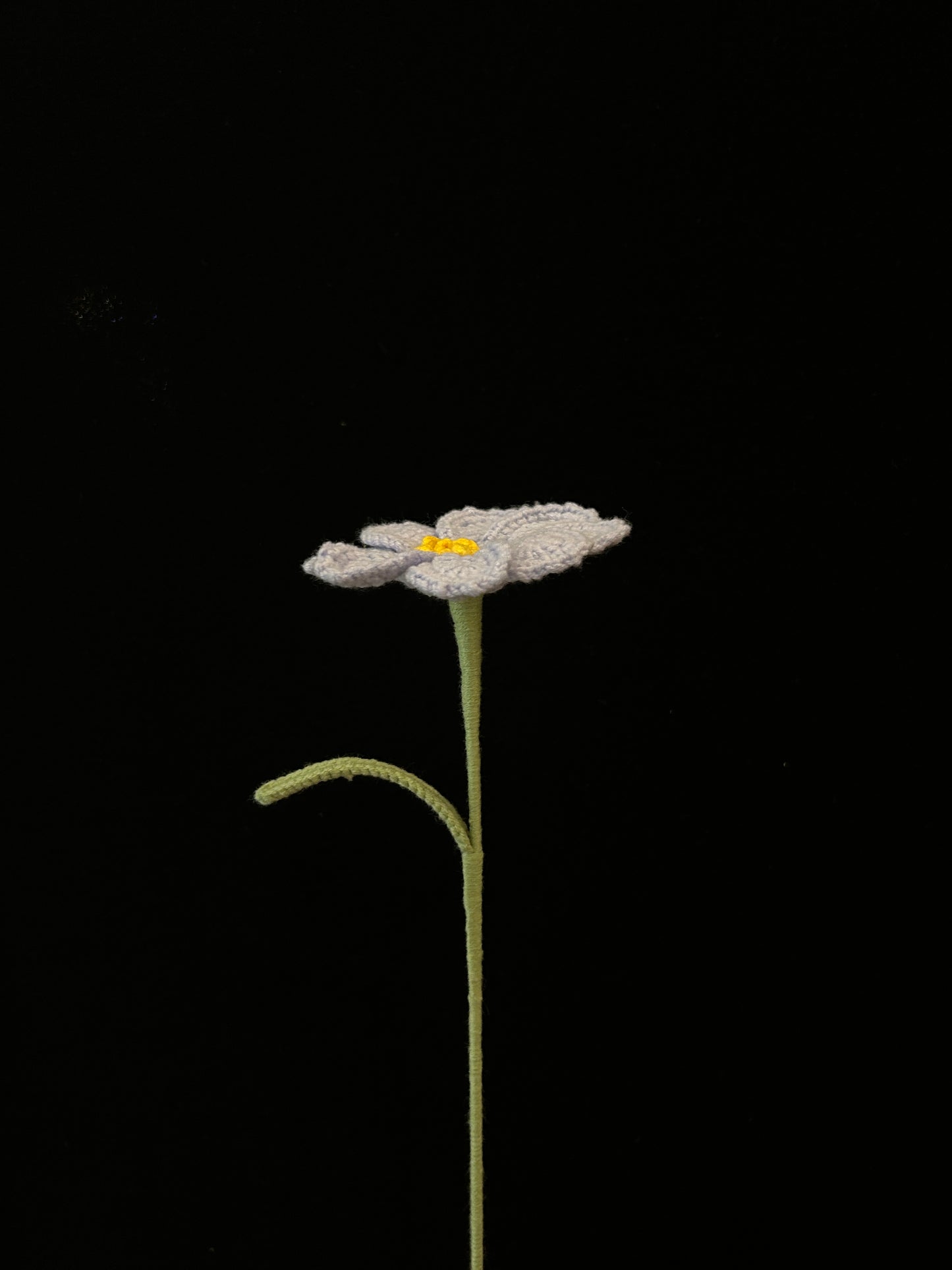 Galsang Flower