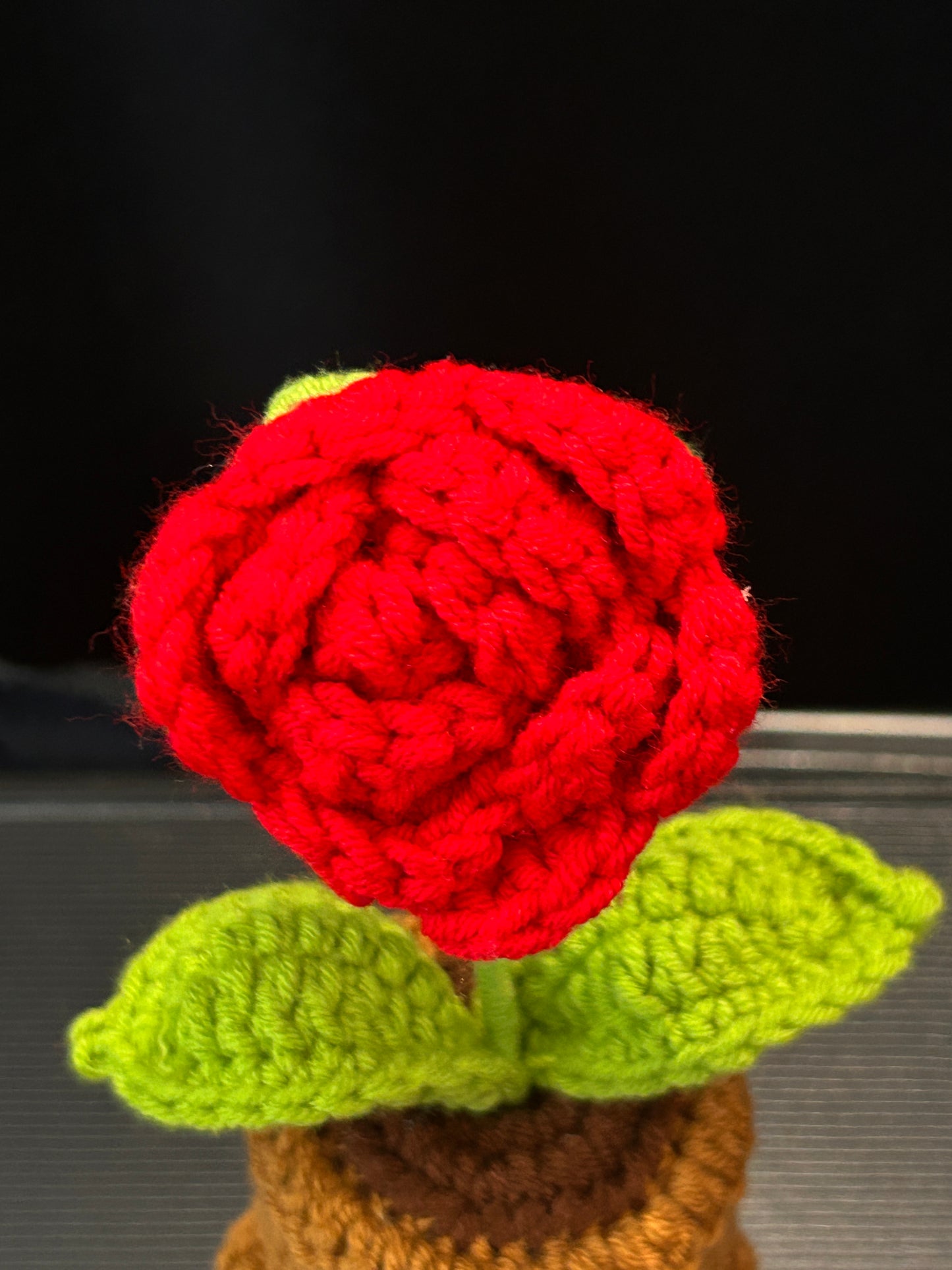 Emotional Support Plant (Small Rose)