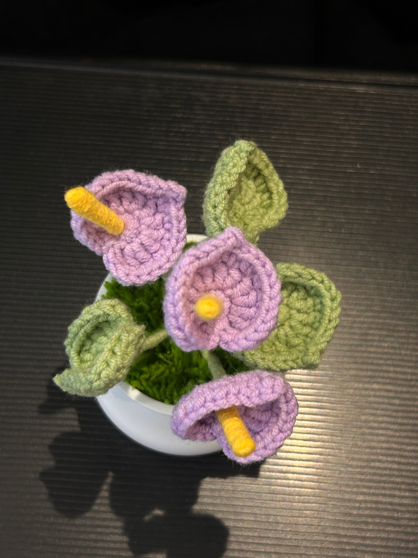 Anthurium in White Pot