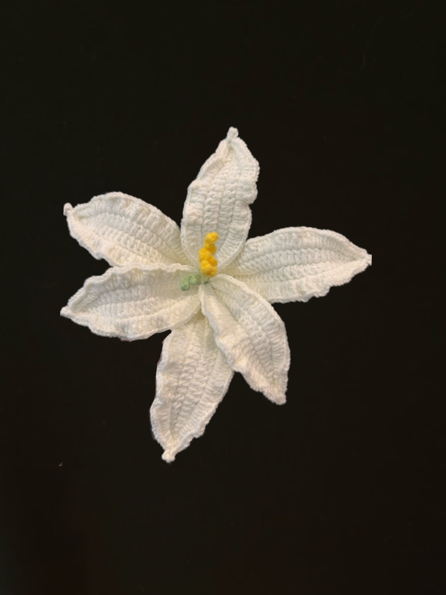 Lily
