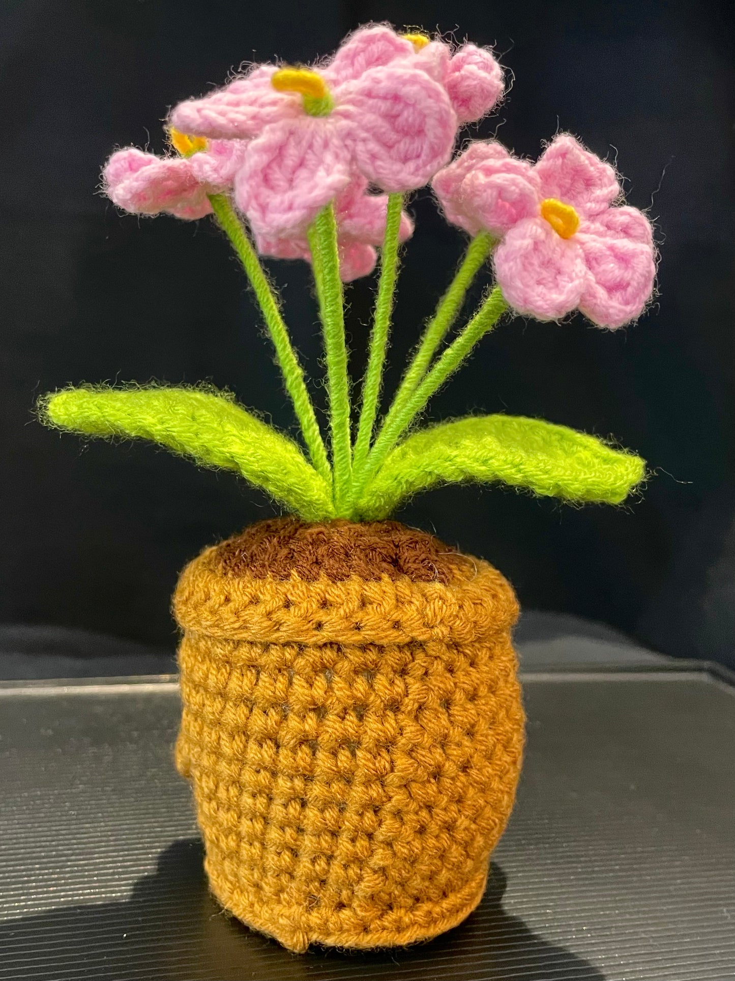 Emotional Support Plant (Foget-me-not)