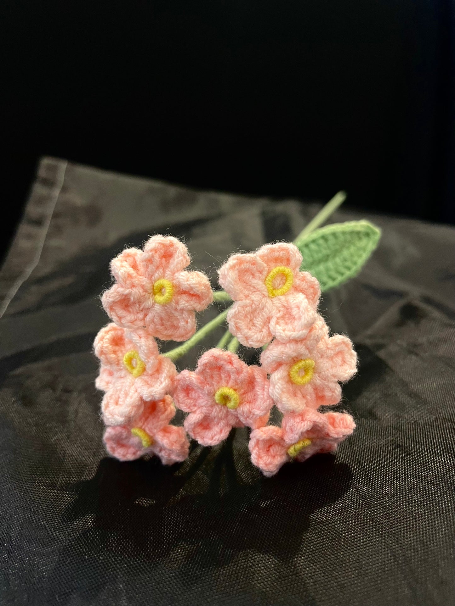 Forget-me-not