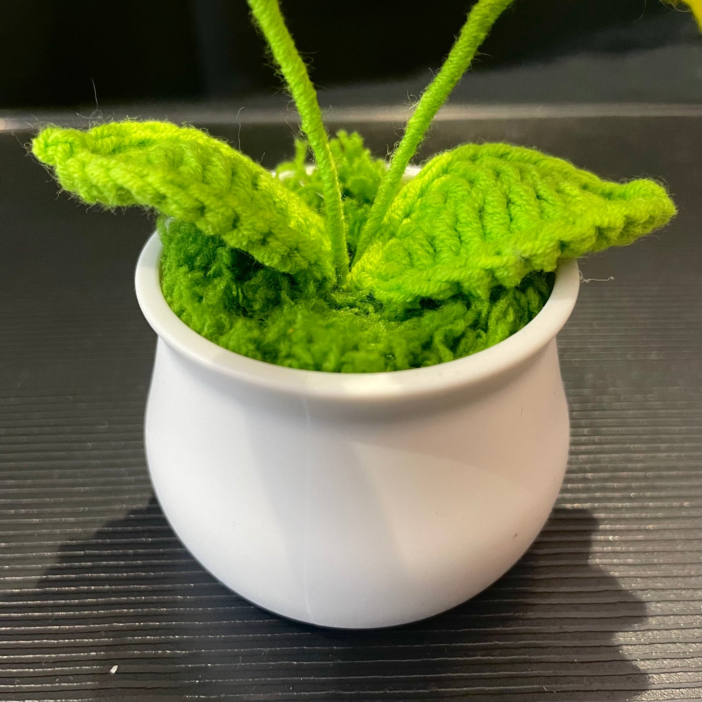 Double Sunflowers in White Pot