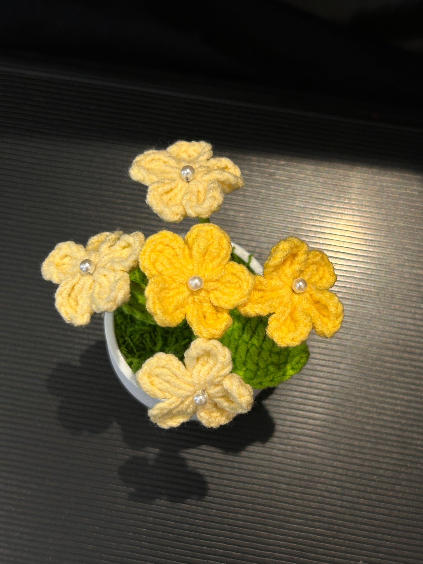 Forget-me-not in White pot