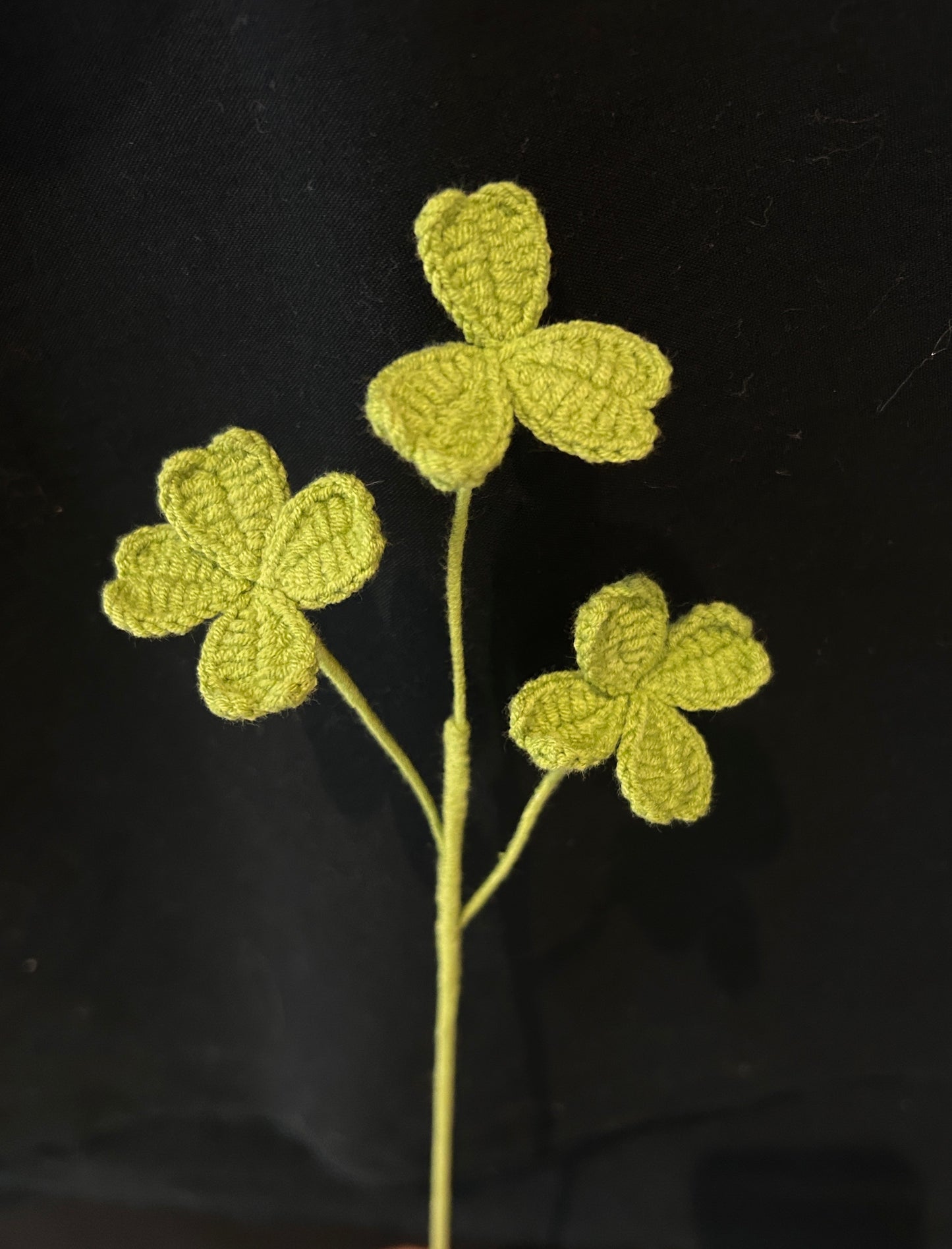 Clover Leaves