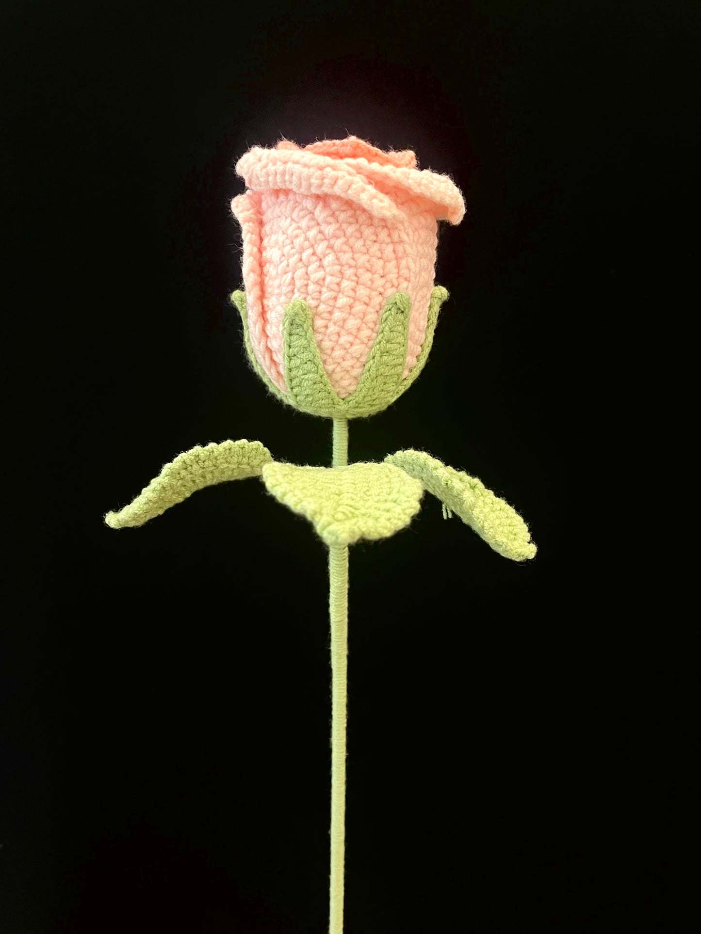 Cup-Shaped Rose