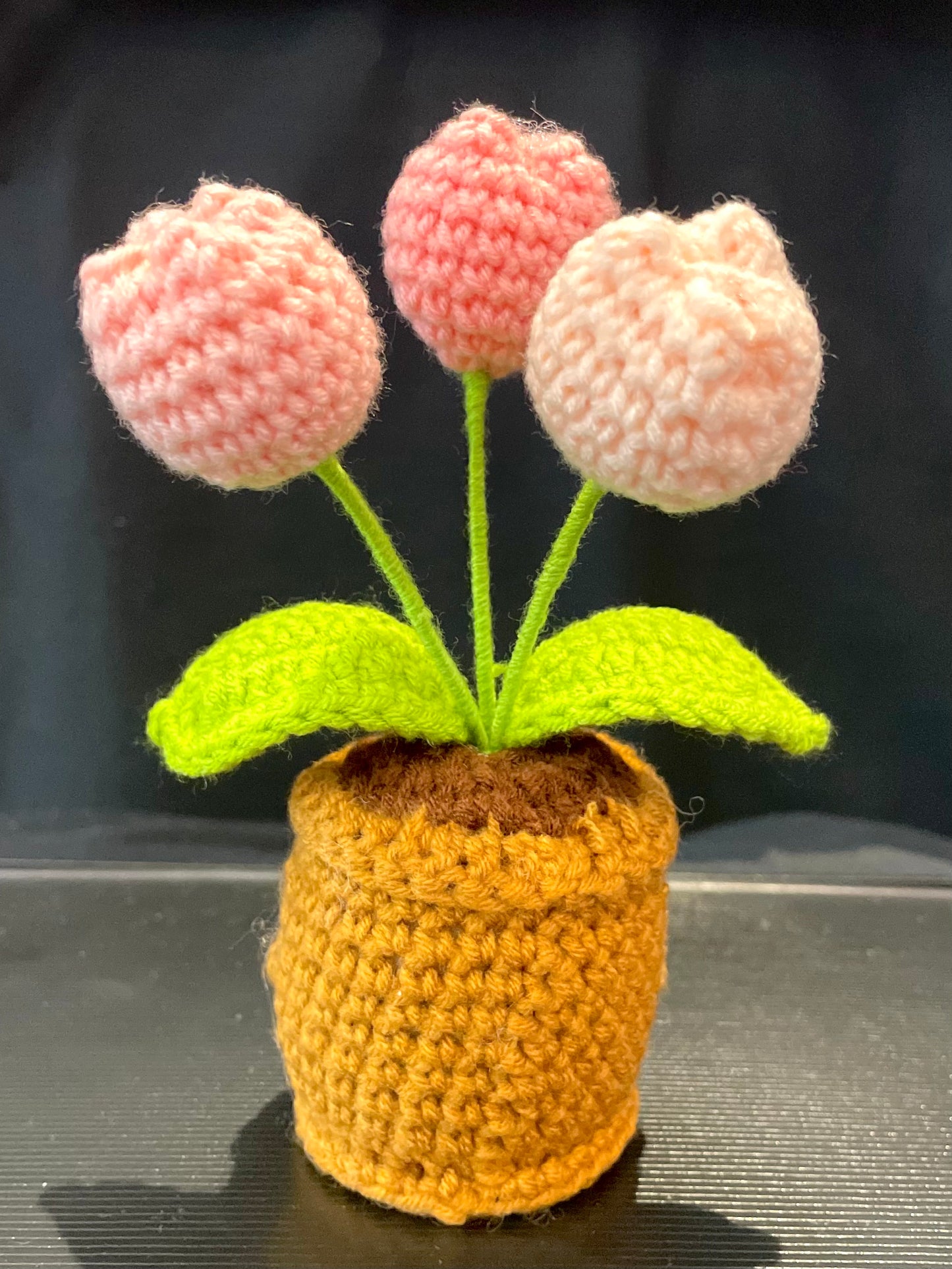 Emotional Support Plant (Tulip)