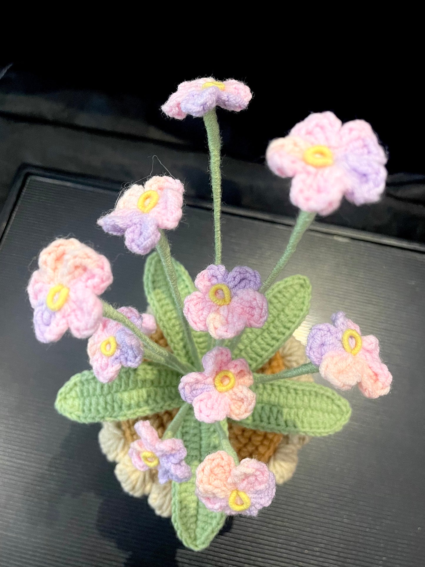 Forget-me-not Pot