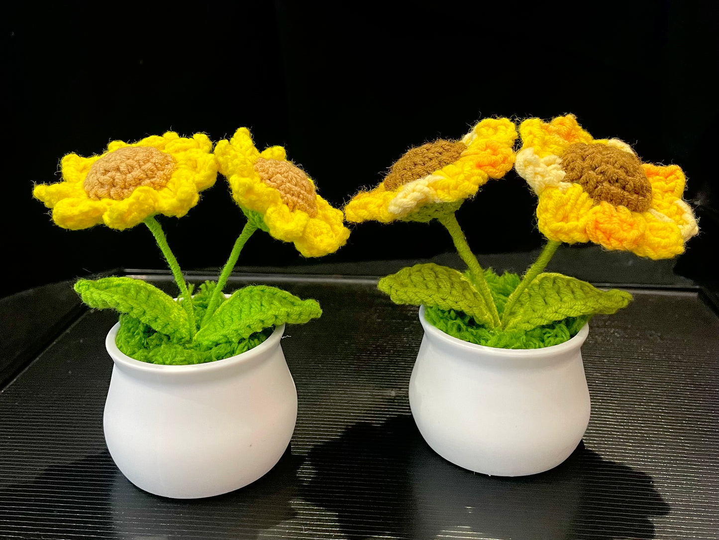 Double Sunflowers in White Pot