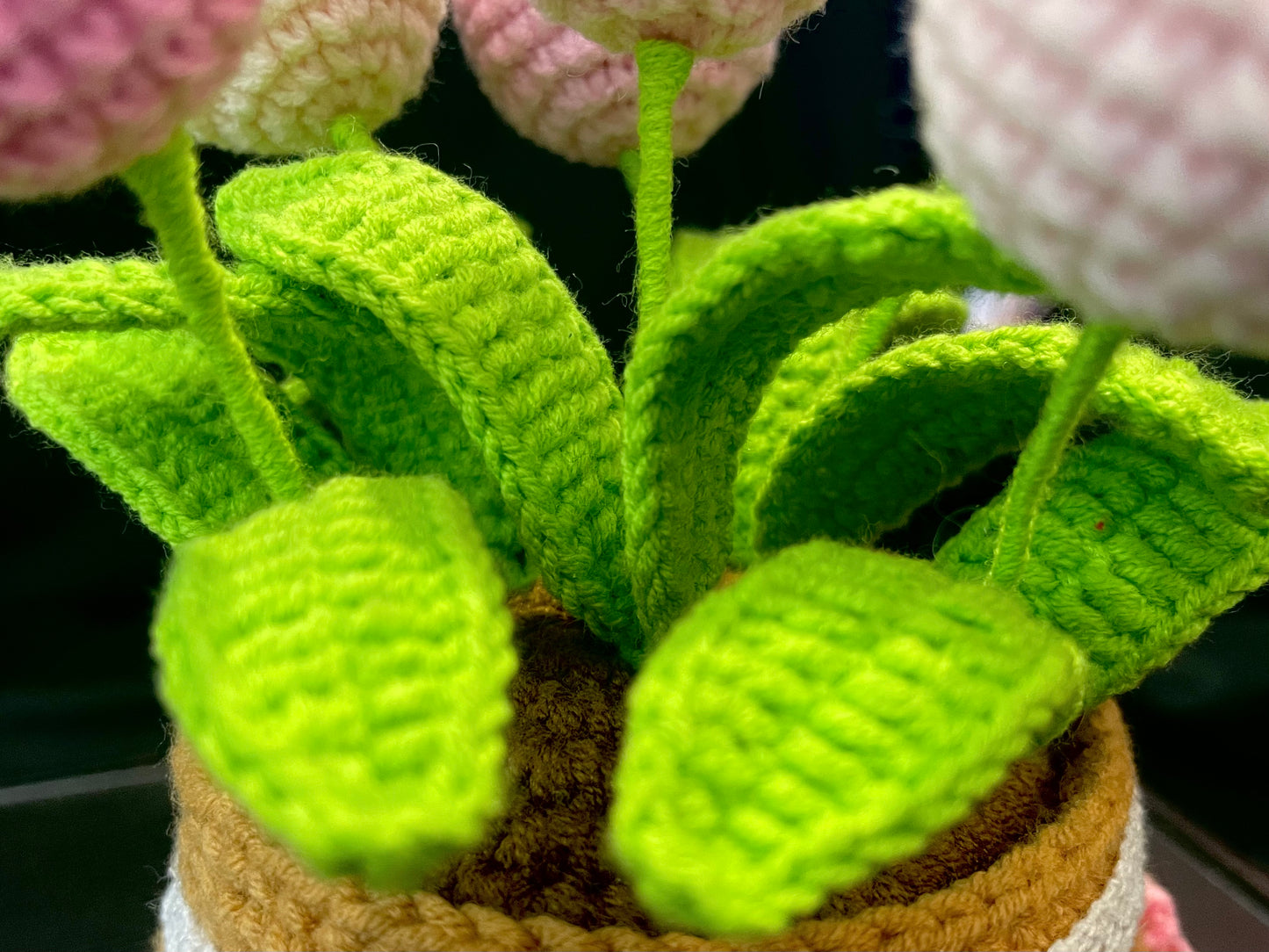 Tulip Pot