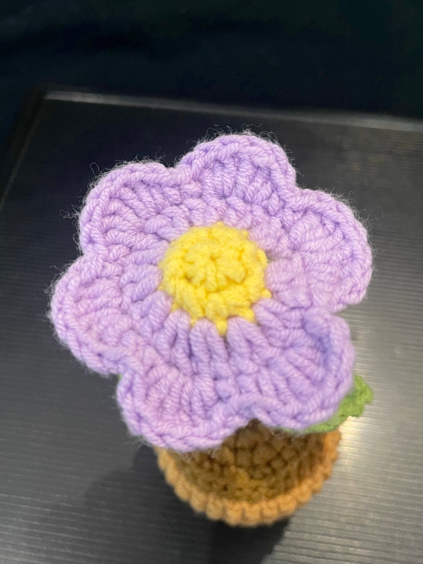Daisy Pot (Single)