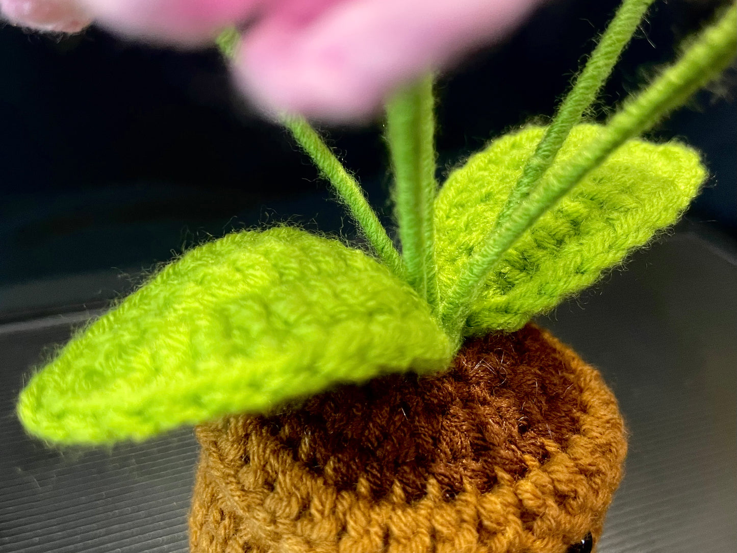 Emotional Support Plant (Foget-me-not)