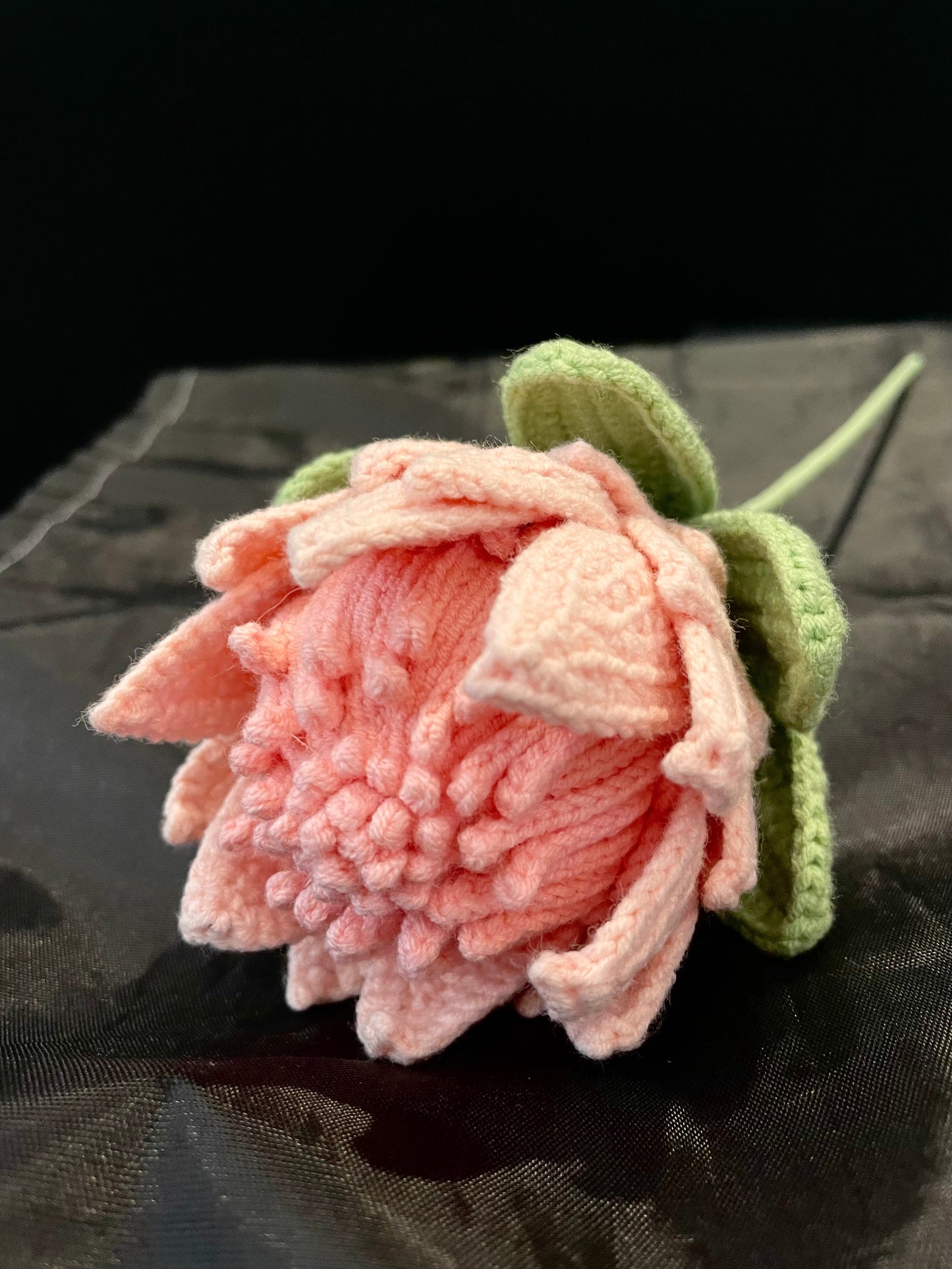 King Protea