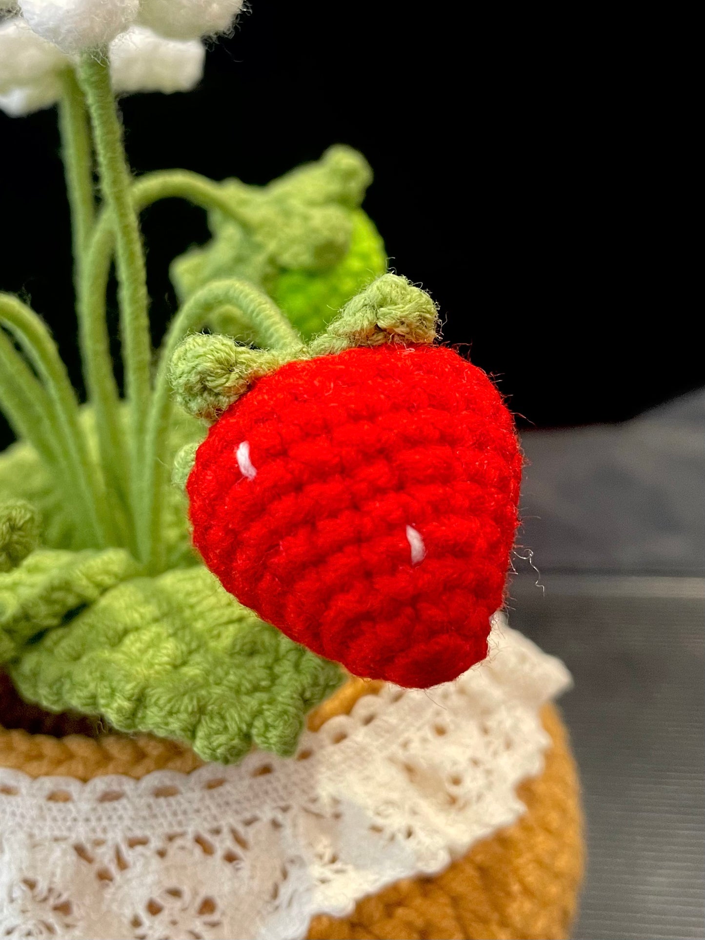 Strawberry Pot