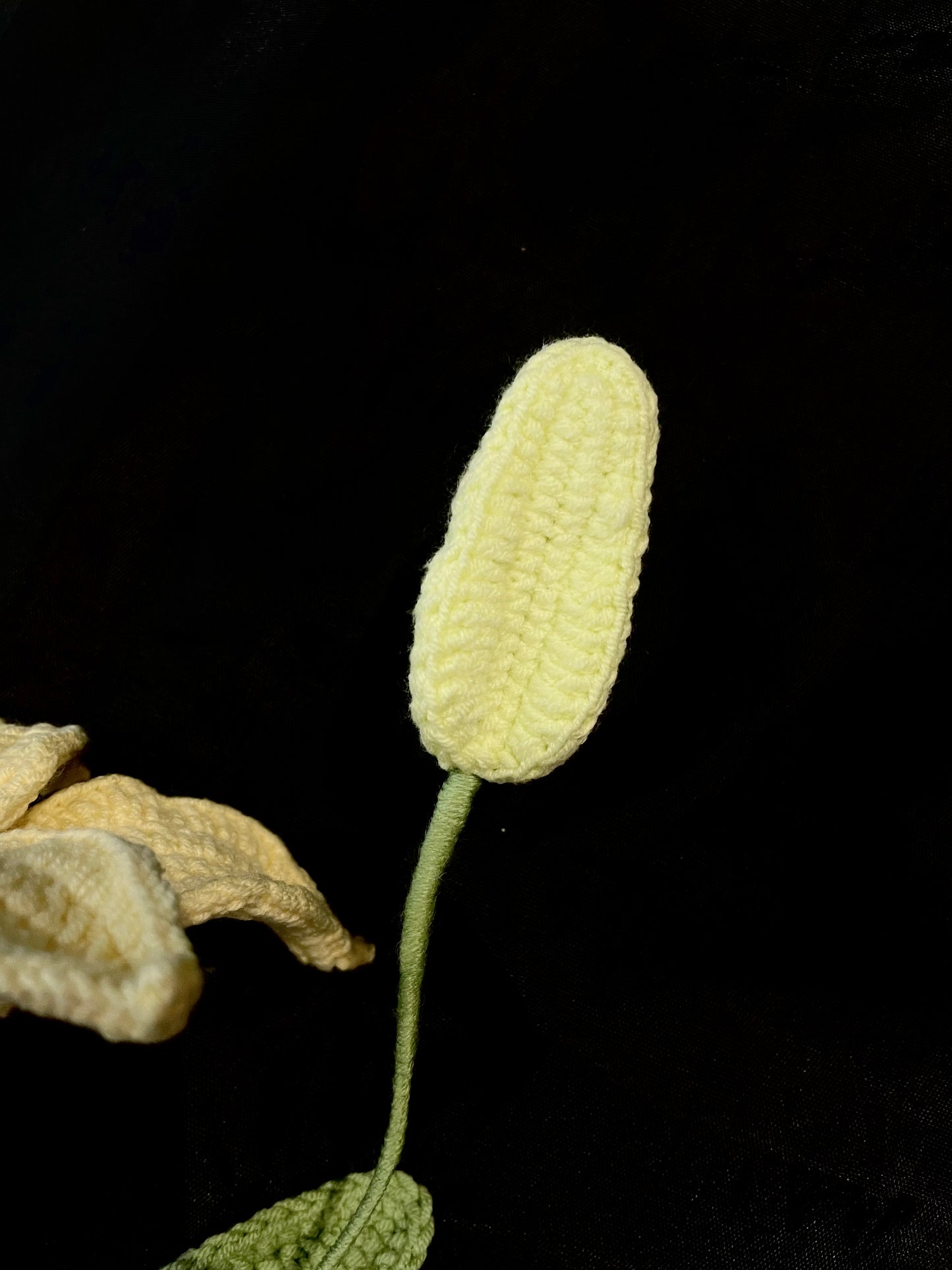 Handmade Crochet Long Stem Flower —— Lily