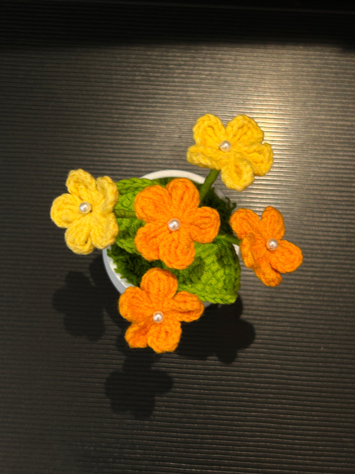 Forget-me-not in White pot