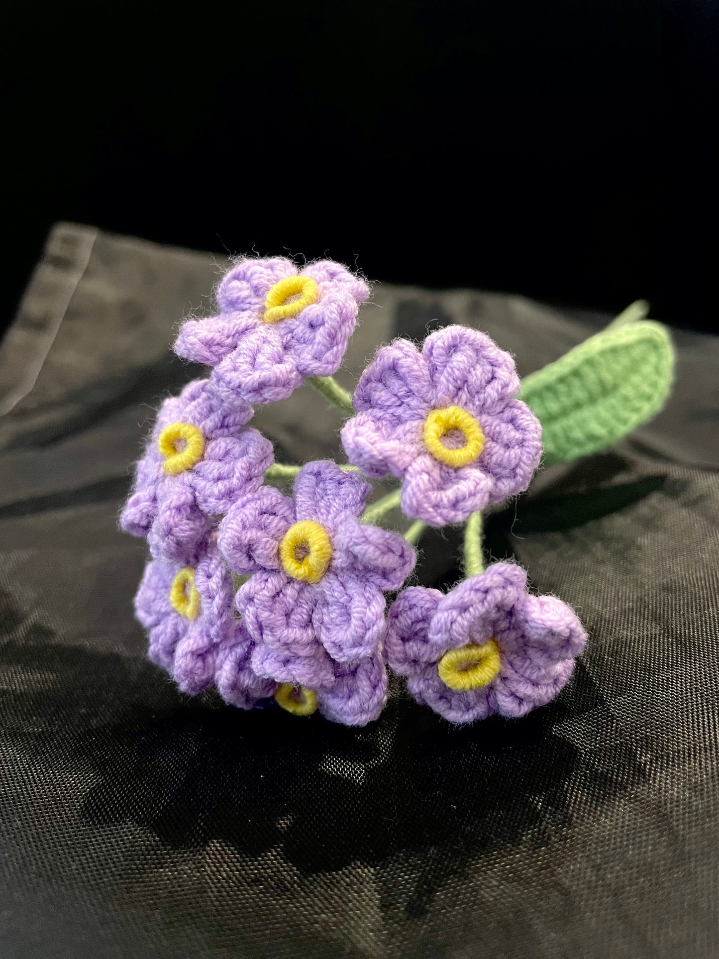 Forget-me-not