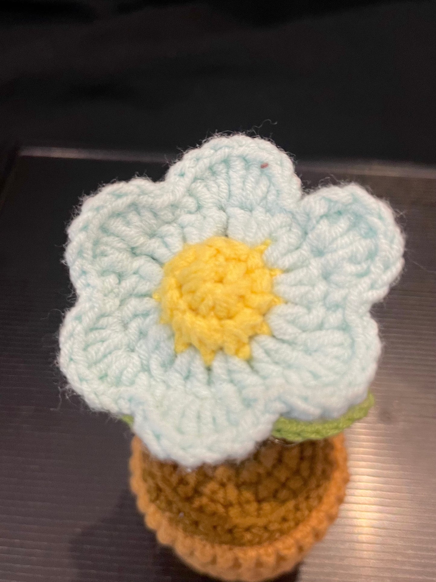 Daisy Pot (Single)