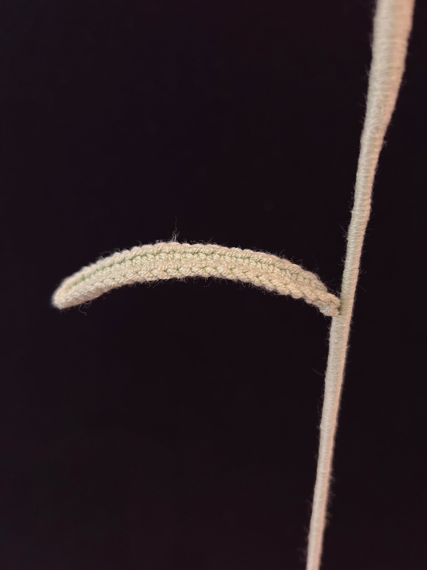 Galsang Flower