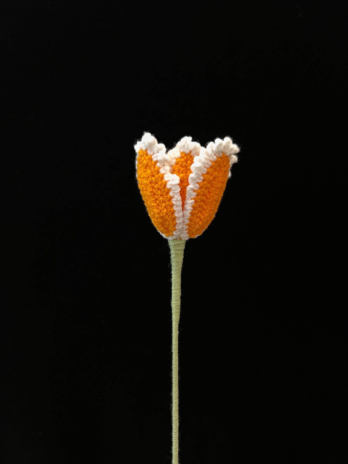 Tulip (Curly Petal)