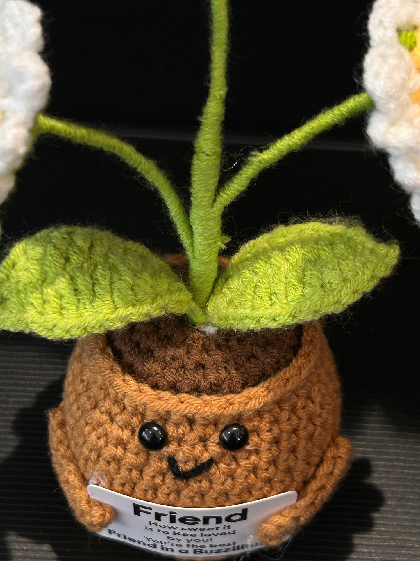 Emotional Support Plant (Three Daisies)