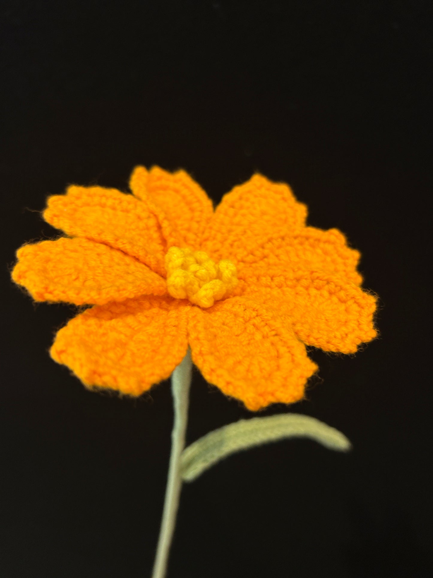 Galsang Flower