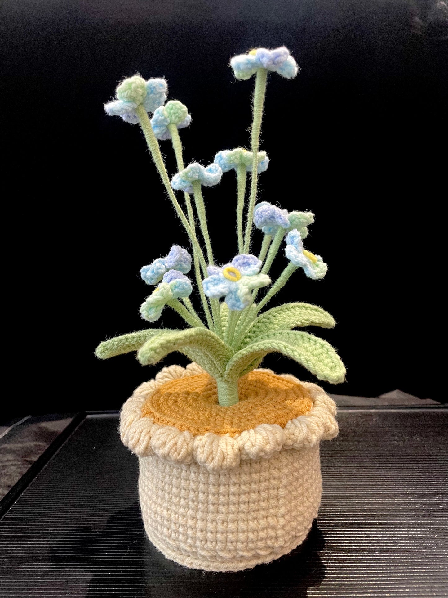 Forget-me-not Pot