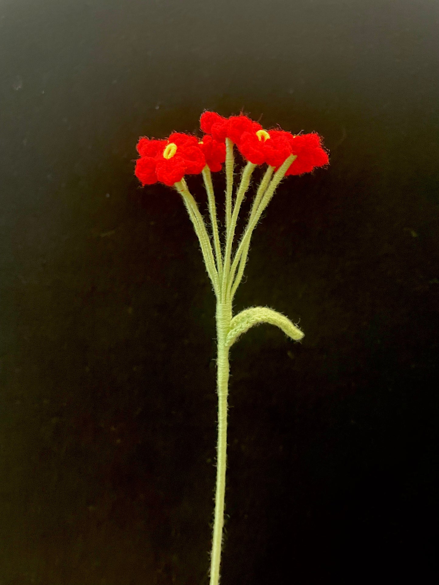 Forget-me-not