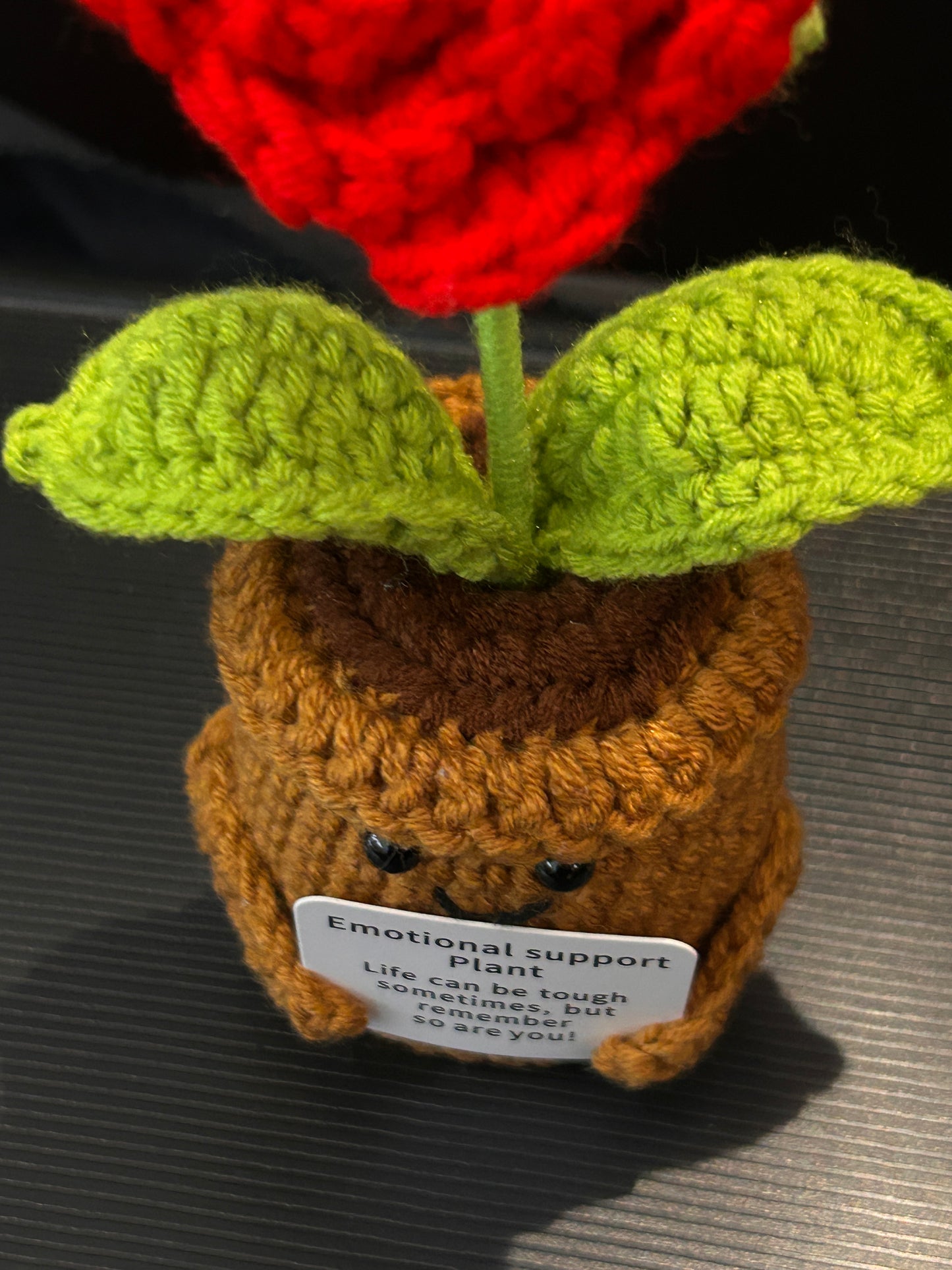 Emotional Support Plant (Small Rose)