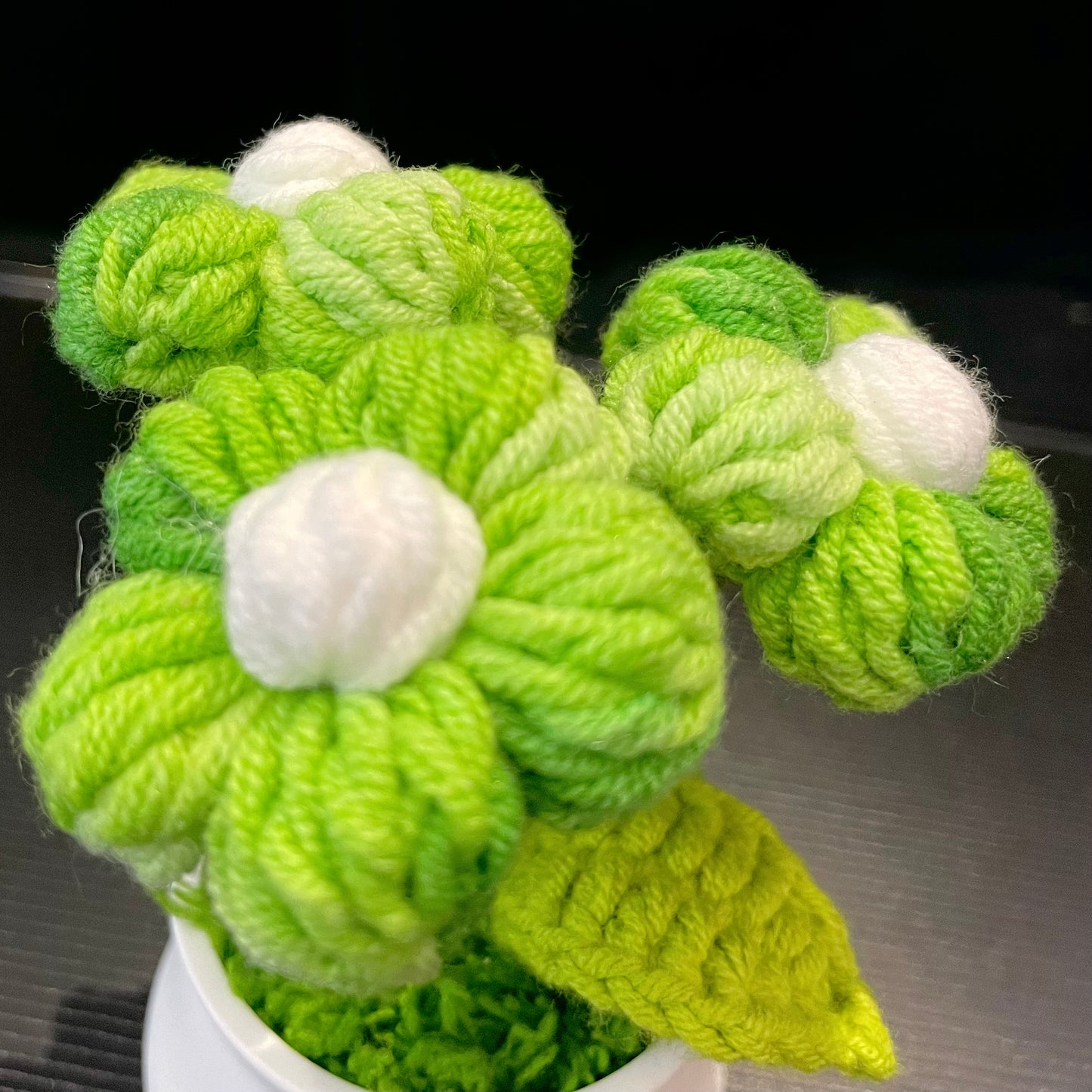 Puff Flower in White Pot