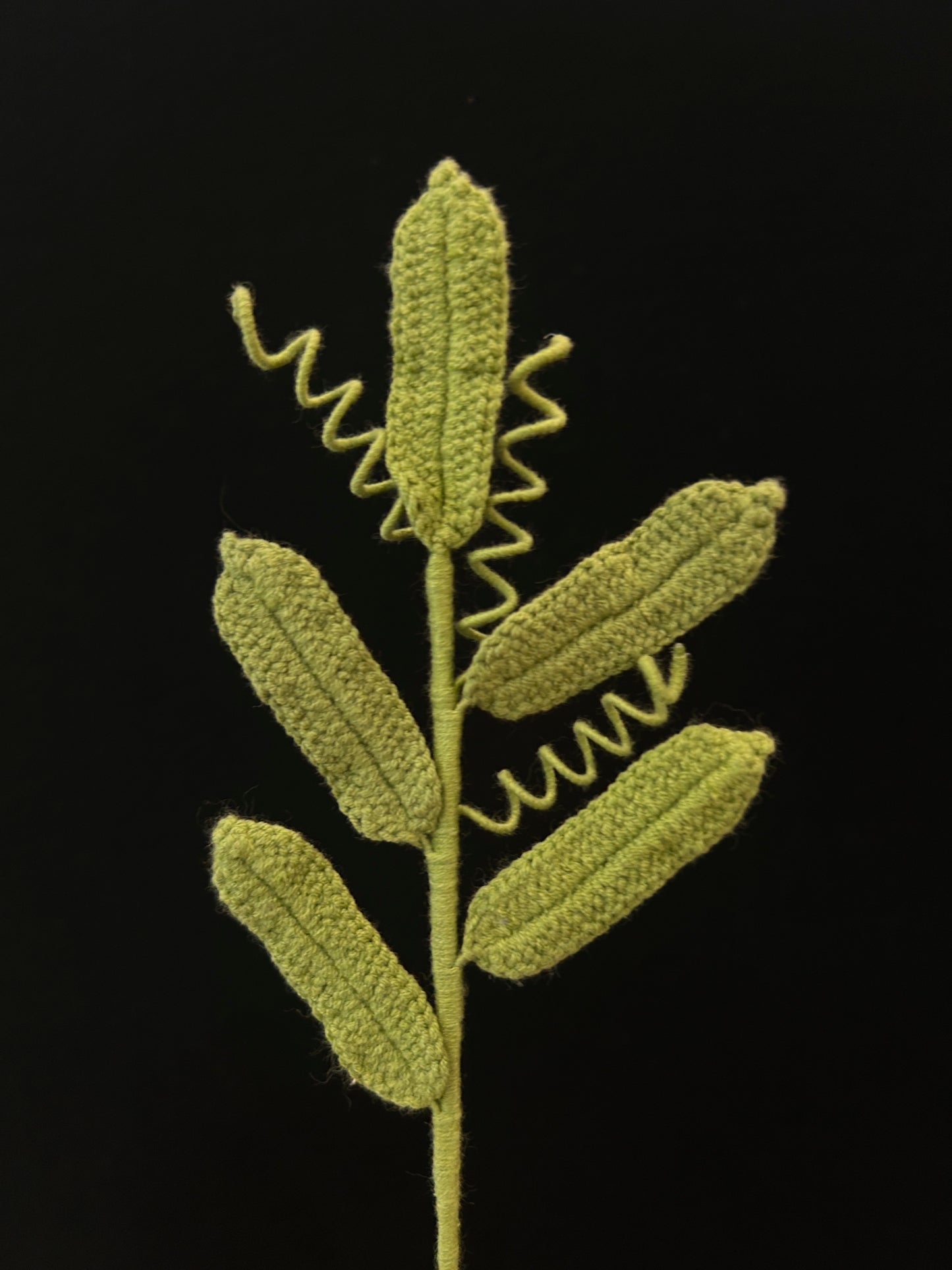 Leaf with Tendrils