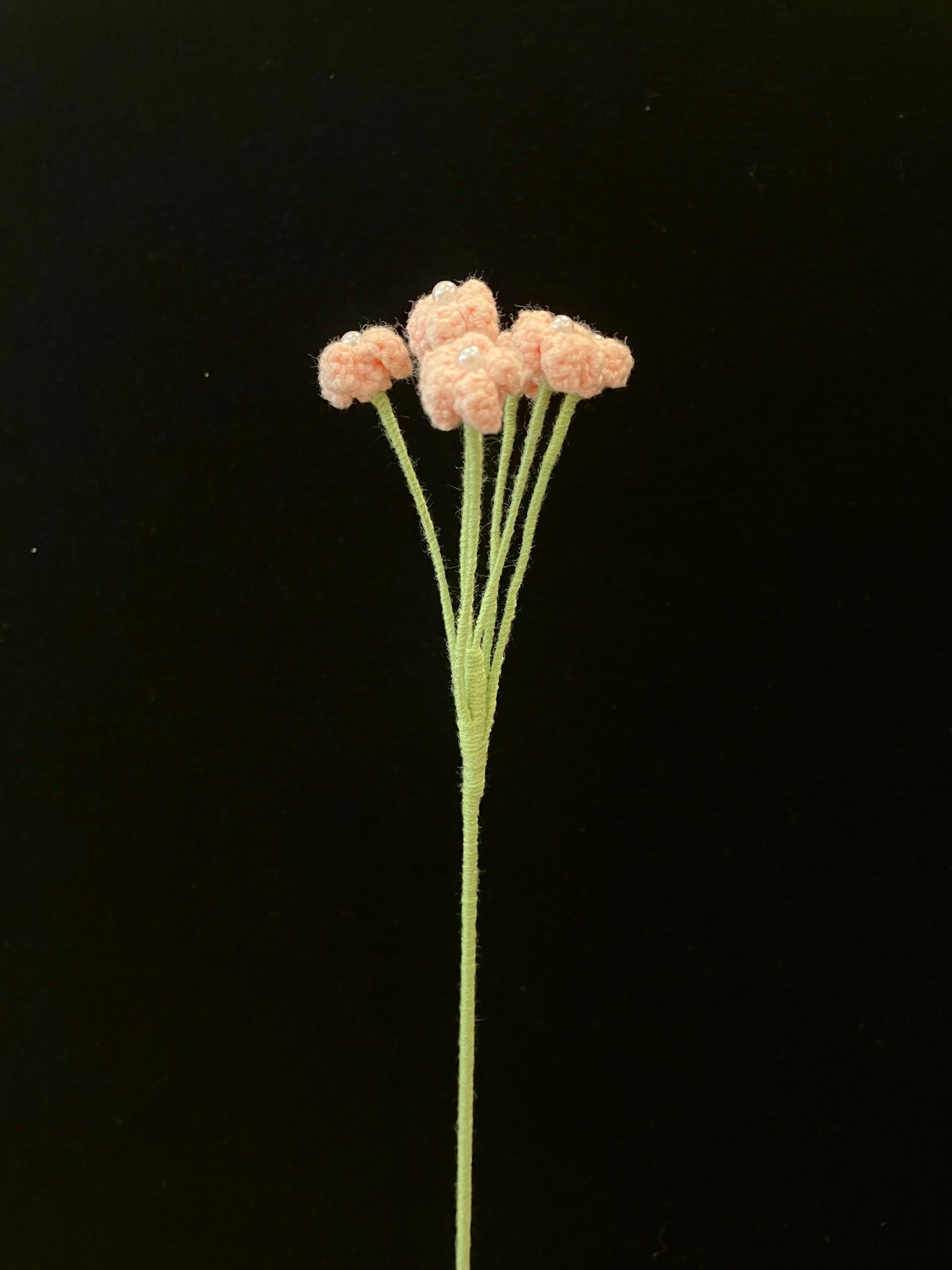 Baby’s Breath