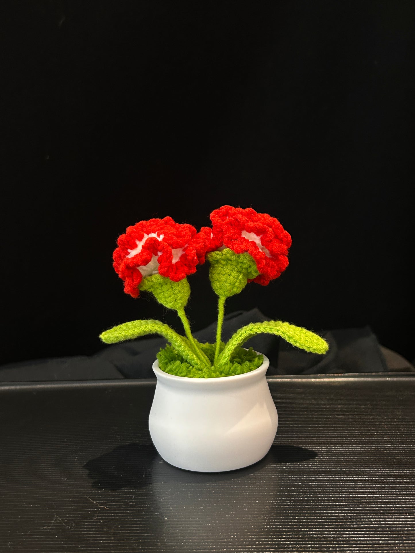Carnation in White Pot