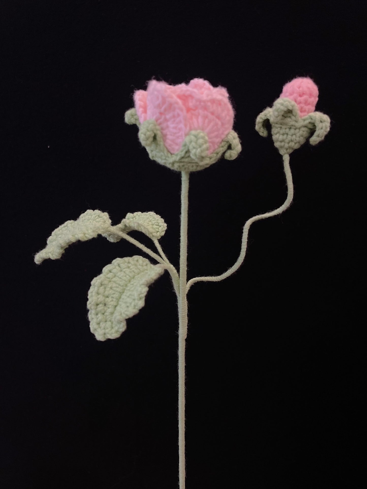 Rose with Bud
