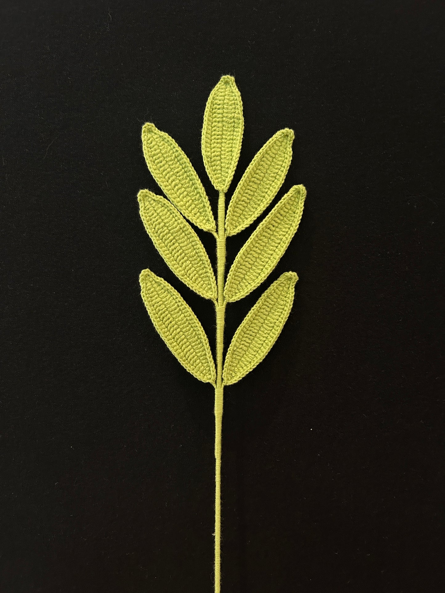 Palmate Leaf