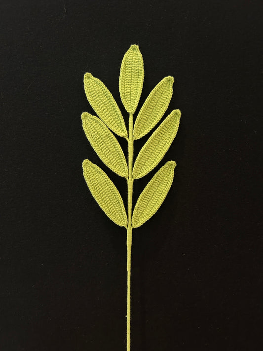 Palmate Leaf